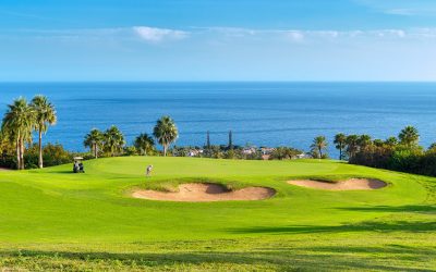 ¿Tiene “mono” por jugar en el Tecina Golf? Entonces le aconsejamos que no siga leyendo.