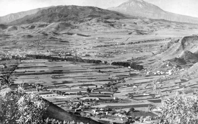 Historia del Real Club de Golf de Tenerife capítulo 2. El salto de La Quinta a La Mesa Mota.