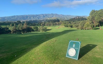 kikuyu, dura de pelar y muy presente en Canarias