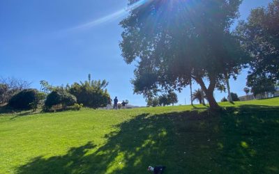 ¿Por qué son tan diferentes los primeros 9 hoyos de los segundos? Los Secretos de Las Palmeras Golf.