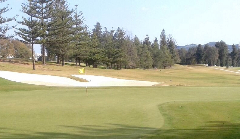 Hierba Bermuda o Bermuda Grass. La más habitual en climas cálidos.