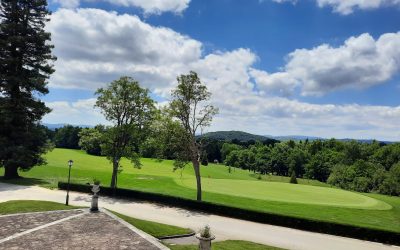 Poa o Poa Annua, ciclos de vida de un año