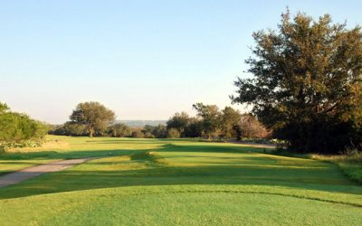 Zoysia, hierba vistosa por su verde y apreciada por su dureza.
