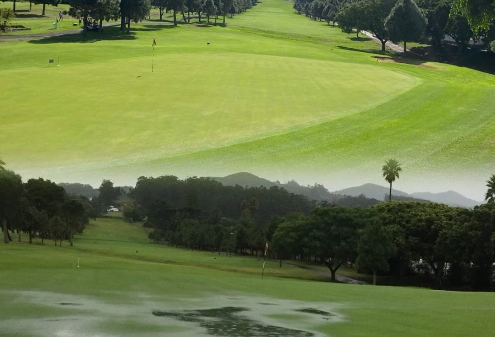 El cambio climático. ¿Cómo se adaptan los campos de golf de Canarias?