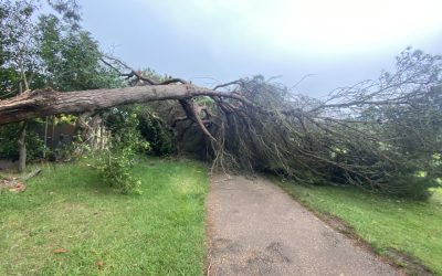 Seguro de la licencia de golf: qué hacer en caso de accidente o siniestro.