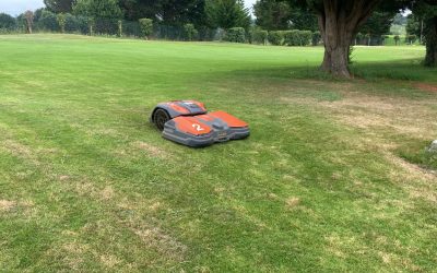 Robots cortadores de césped, ¿los mejores jardineros de un campo de golf?
