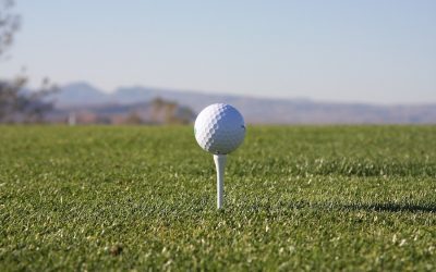 “Dos culturas”, nuevo post de Francisco González.