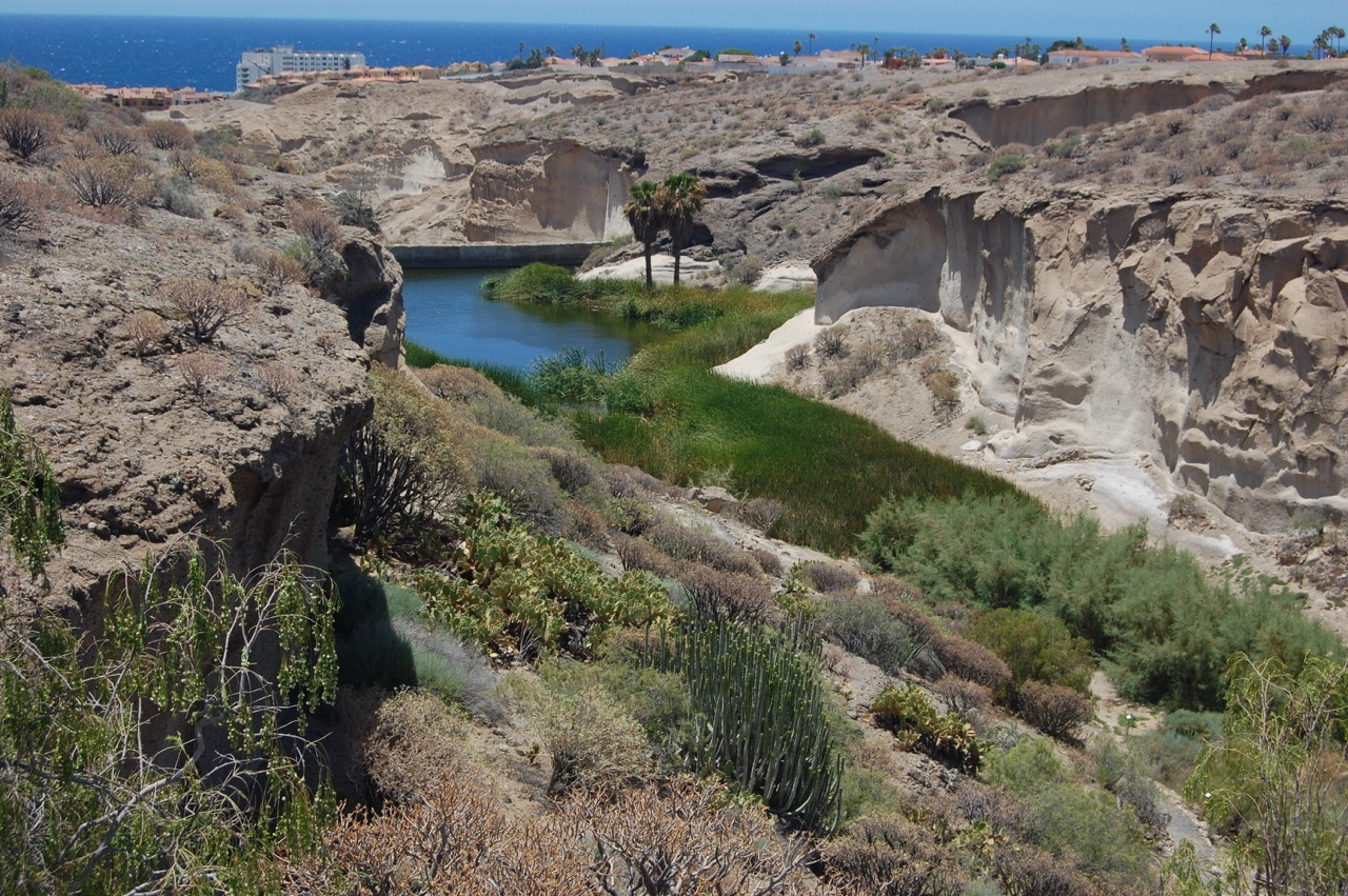 Barceló Tenerife 5 Estrellas: una experiencia única entre naturaleza, deporte, gastronomía y exclusividad